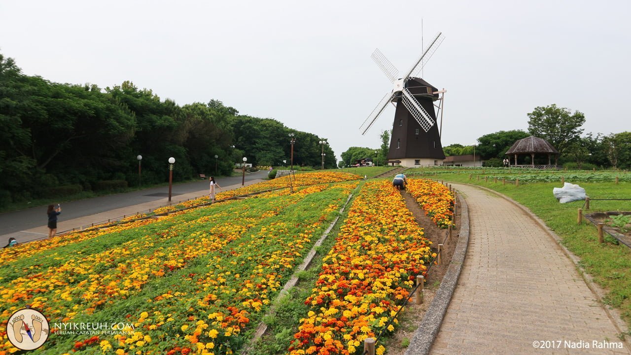 Taman di Osaka yang mirip banget sama di Belanda